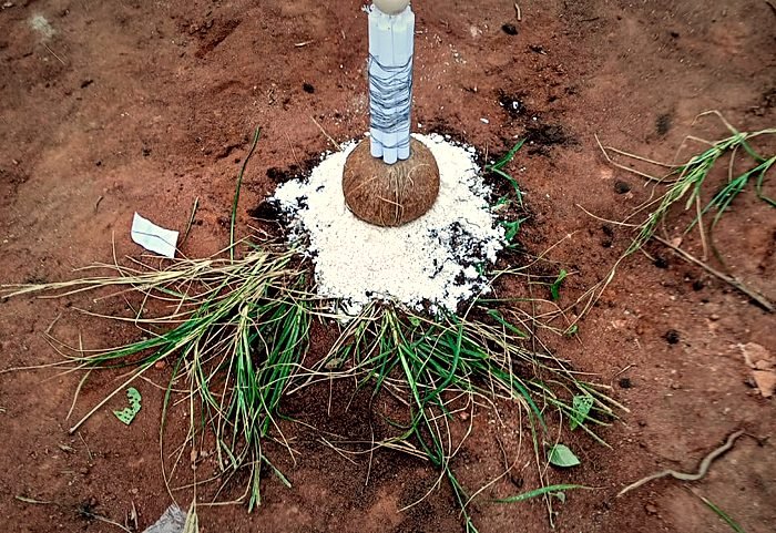 Objet de protection planté en terre